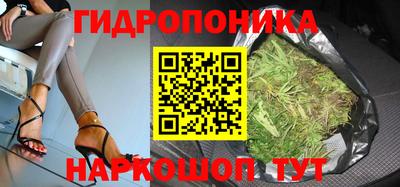 спиды Шелехов