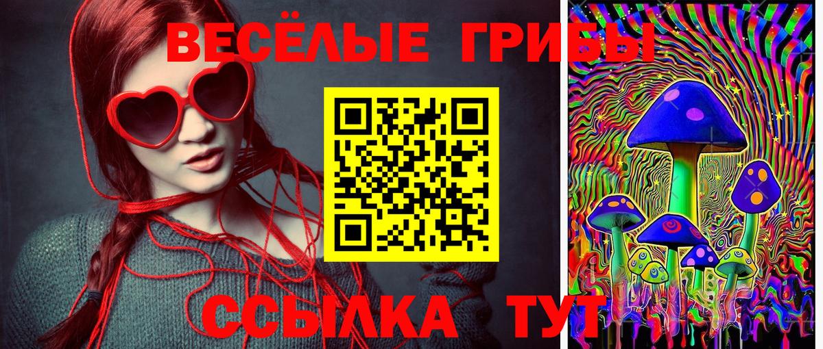 Псилоцибиновые грибы мухоморы  Псилоцибиновые грибы ЛСД  Мичуринск  где найти наркотики  Вход с VPN 